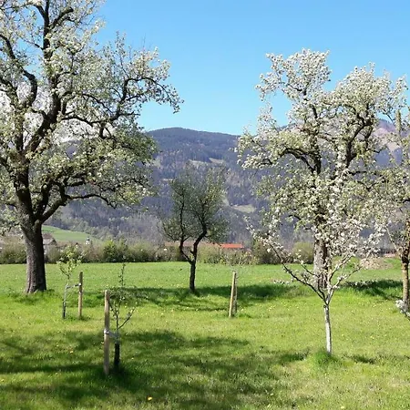 Ferienwohnung Alpenblick Kuchl Exterior photo