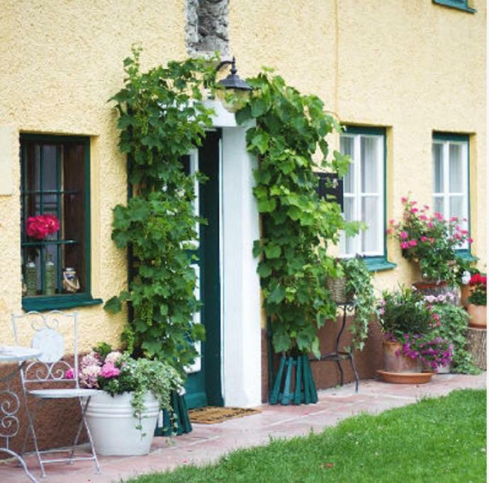 Alpenblick Apartment