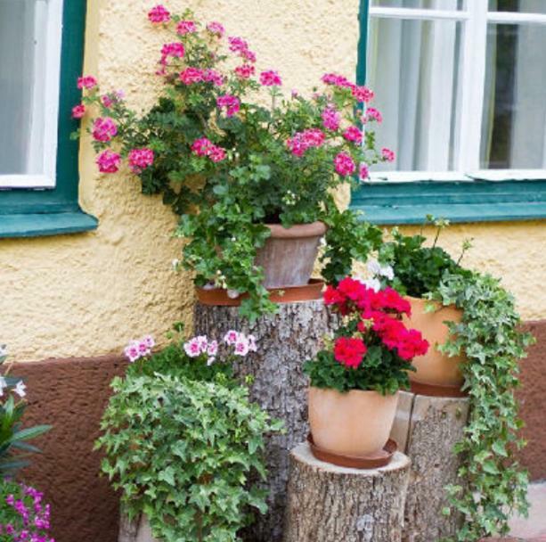 Alpenblick Apartment