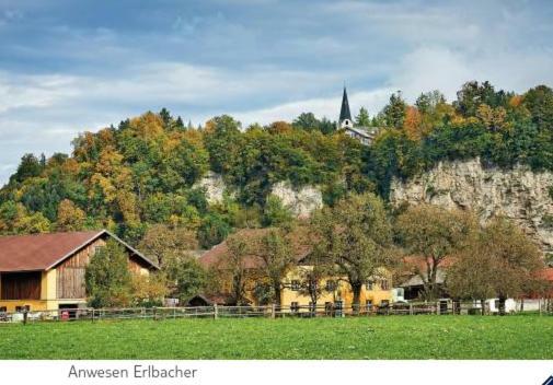 Apartment Alpenblick *