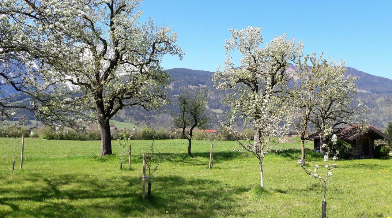Alpenblick *