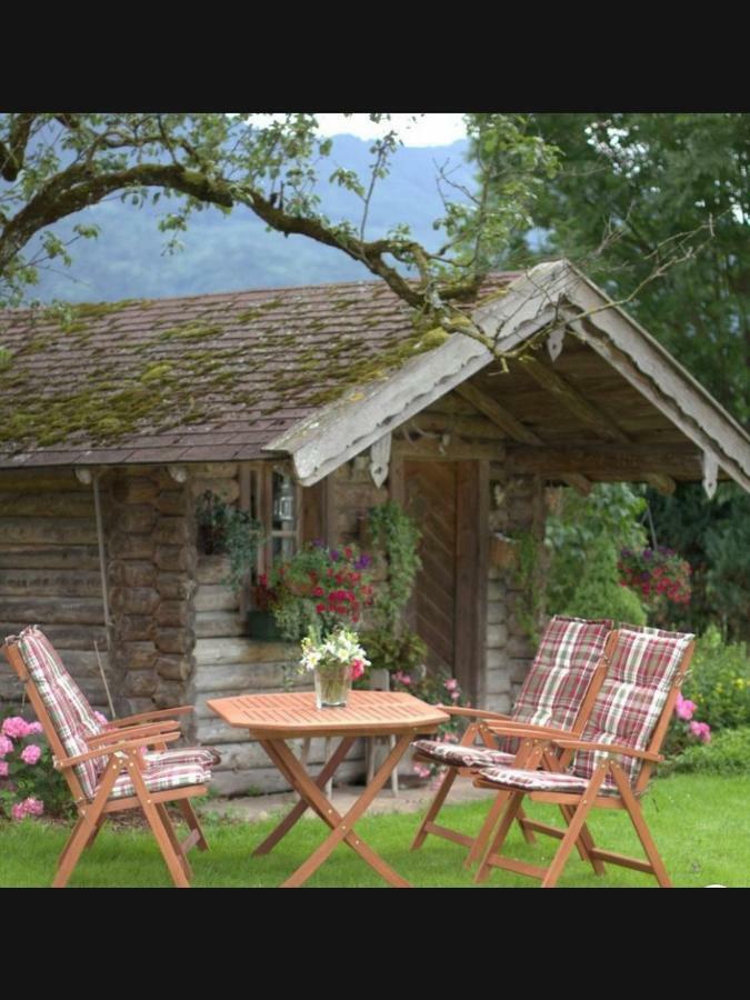Alpenblick Apartment
