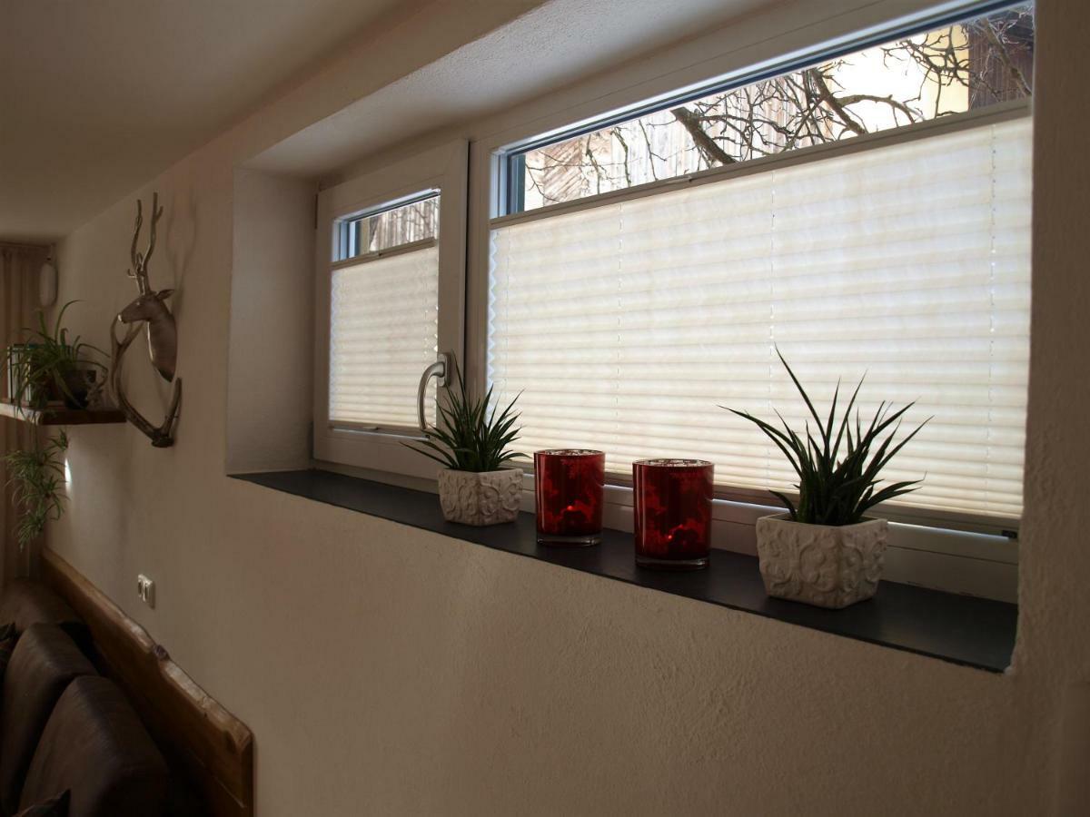 Alpenblick Apartment