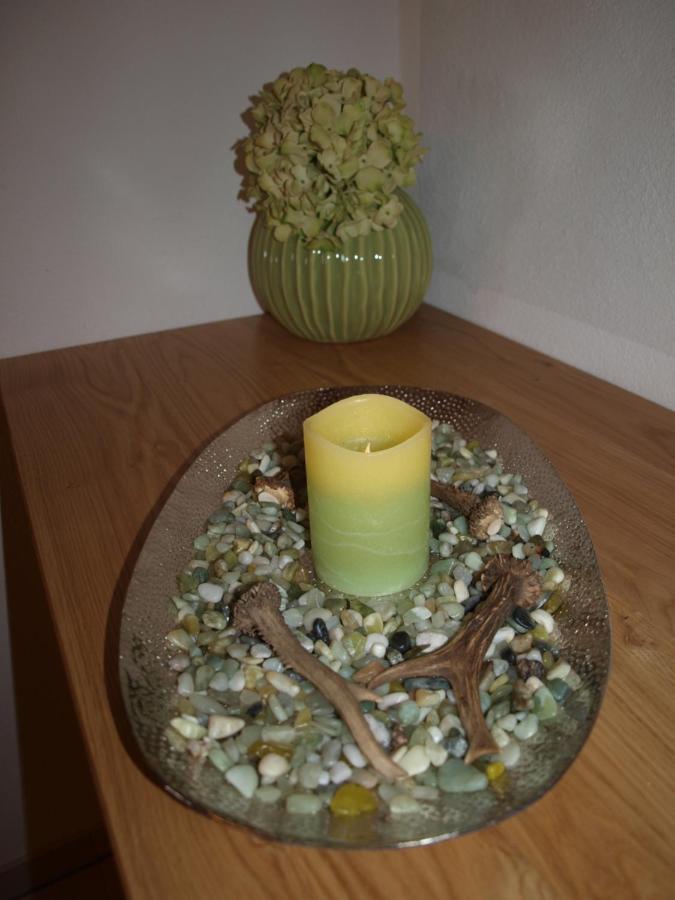 Alpenblick Apartment